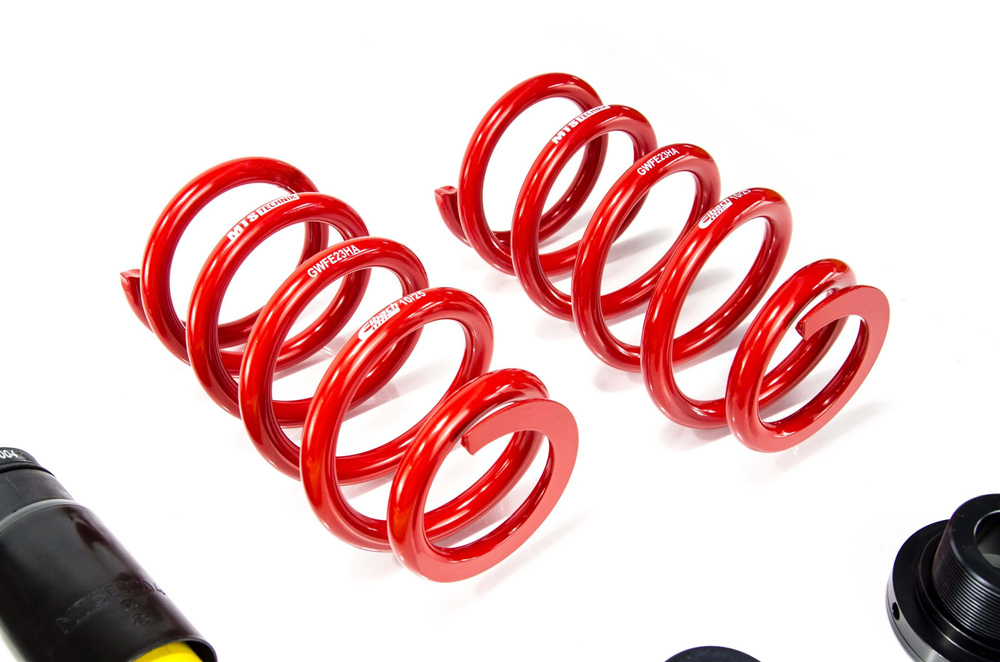MTS Technik / Eibach coilovers Stance