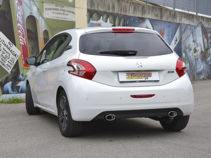 Peugeot_208_1-4VTi_50-0458-10-jpgUukJVgb42xT0Y Ragazzon Duplex rear silencer 1x 115x70mm oval