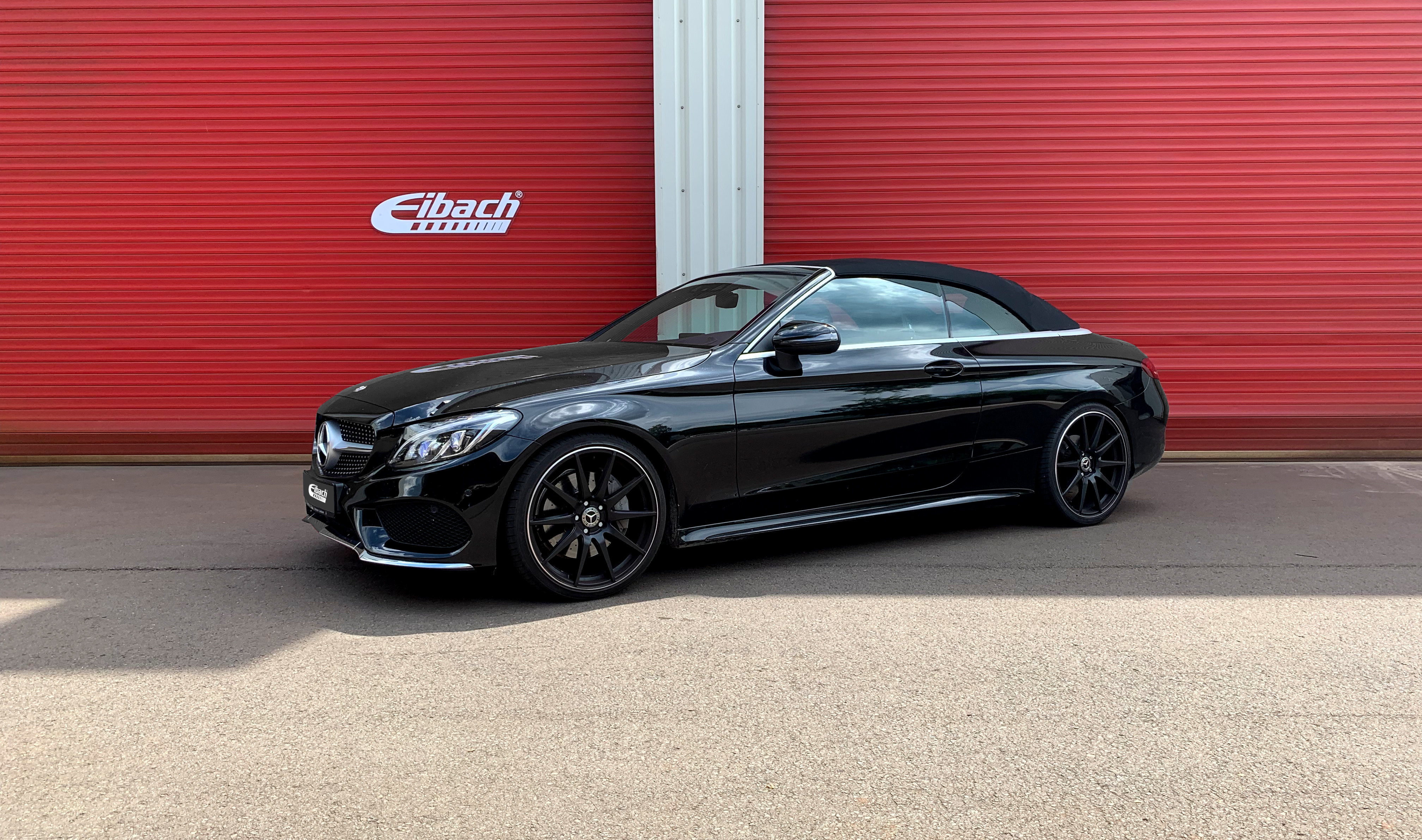 Eibach Pro-Kit springs about 25/30mm