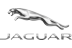 Jaguar Jaguar