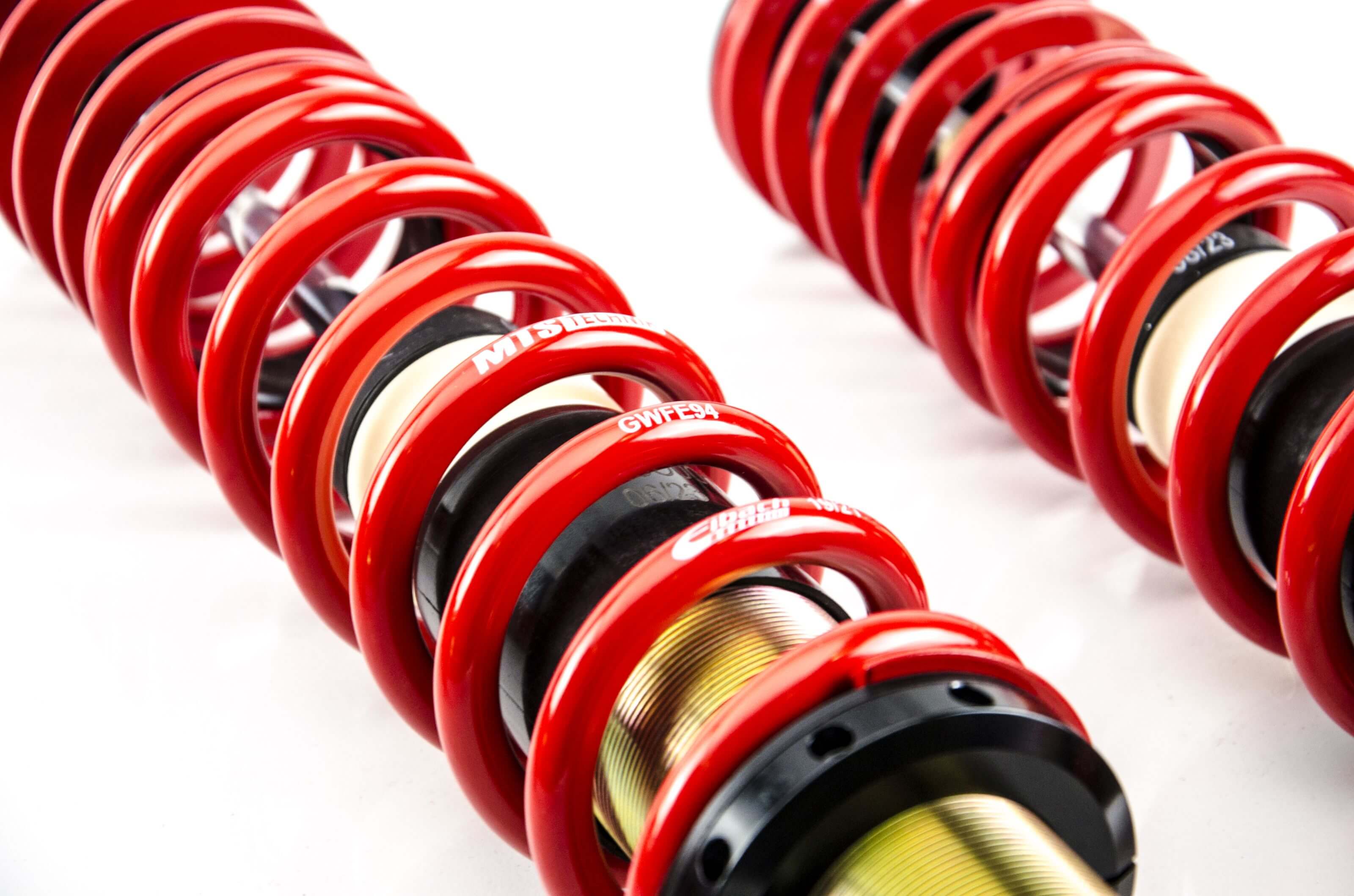 MTS Technik / Eibach coilovers Stance