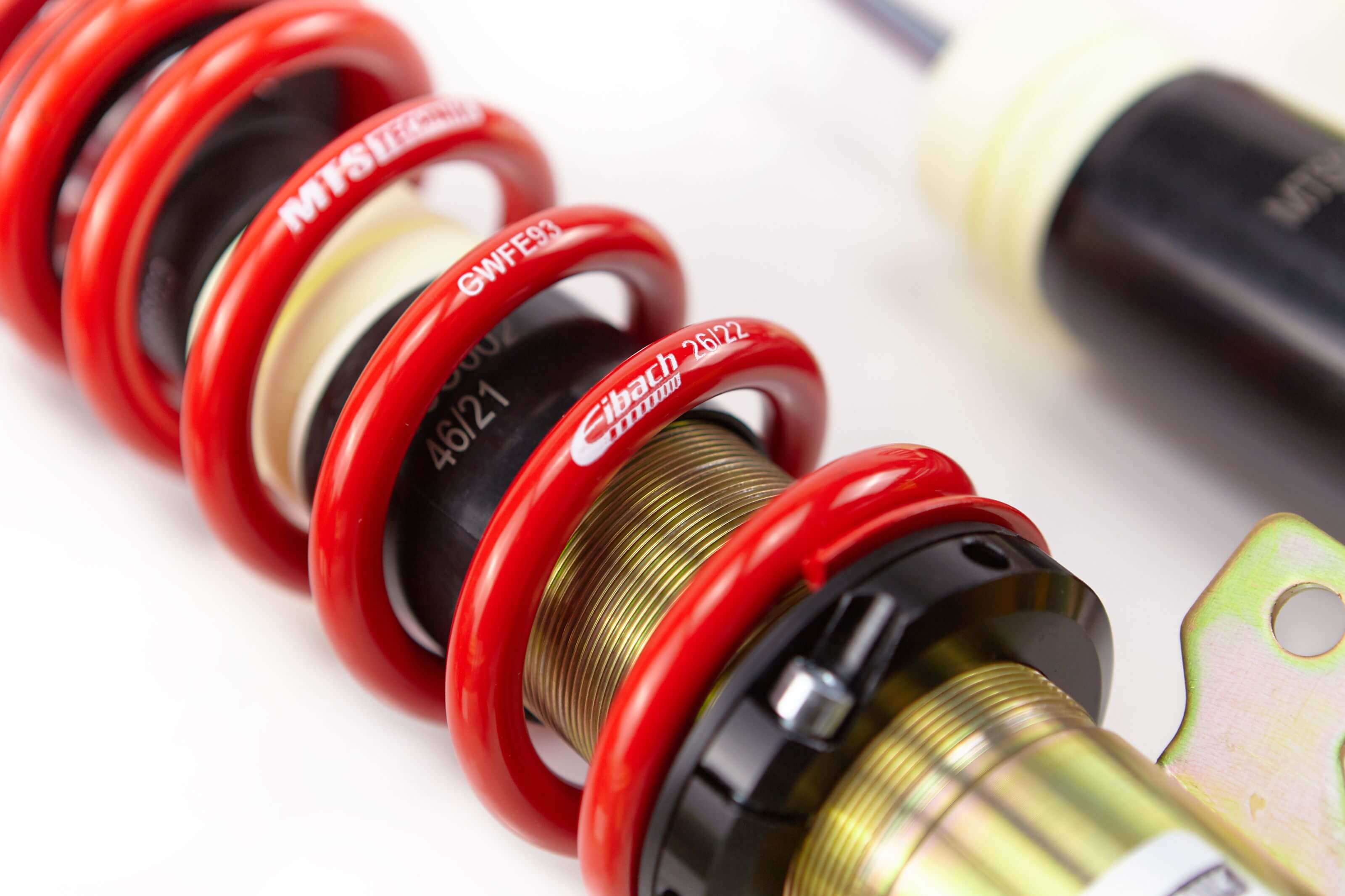 MTSGWFO18_1 MTS Technik / Eibach coilovers Street