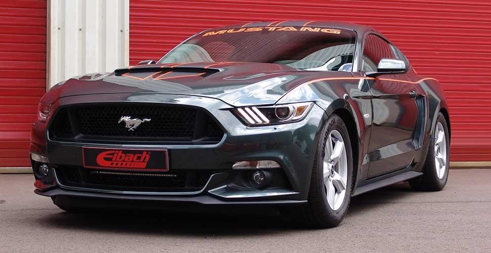 Eibach Pro-Kit springs about 20-25/20-25mm