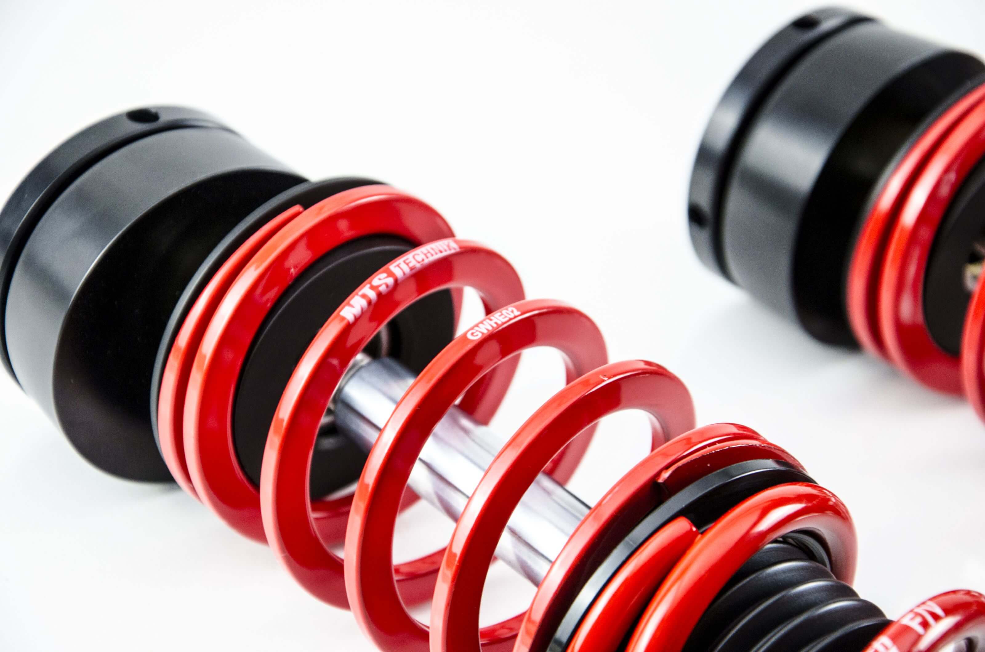 MTSGWVW112_3 MTS Technik / Eibach coilovers Street