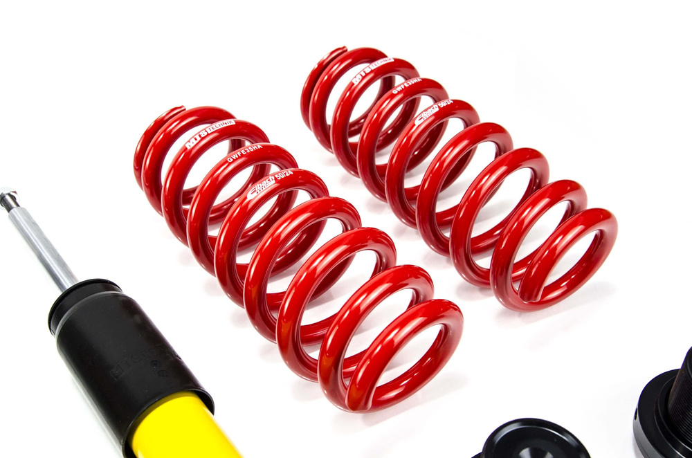 MTS Technik / Eibach coilovers Street MTS Technik / Eibach coilovers Street