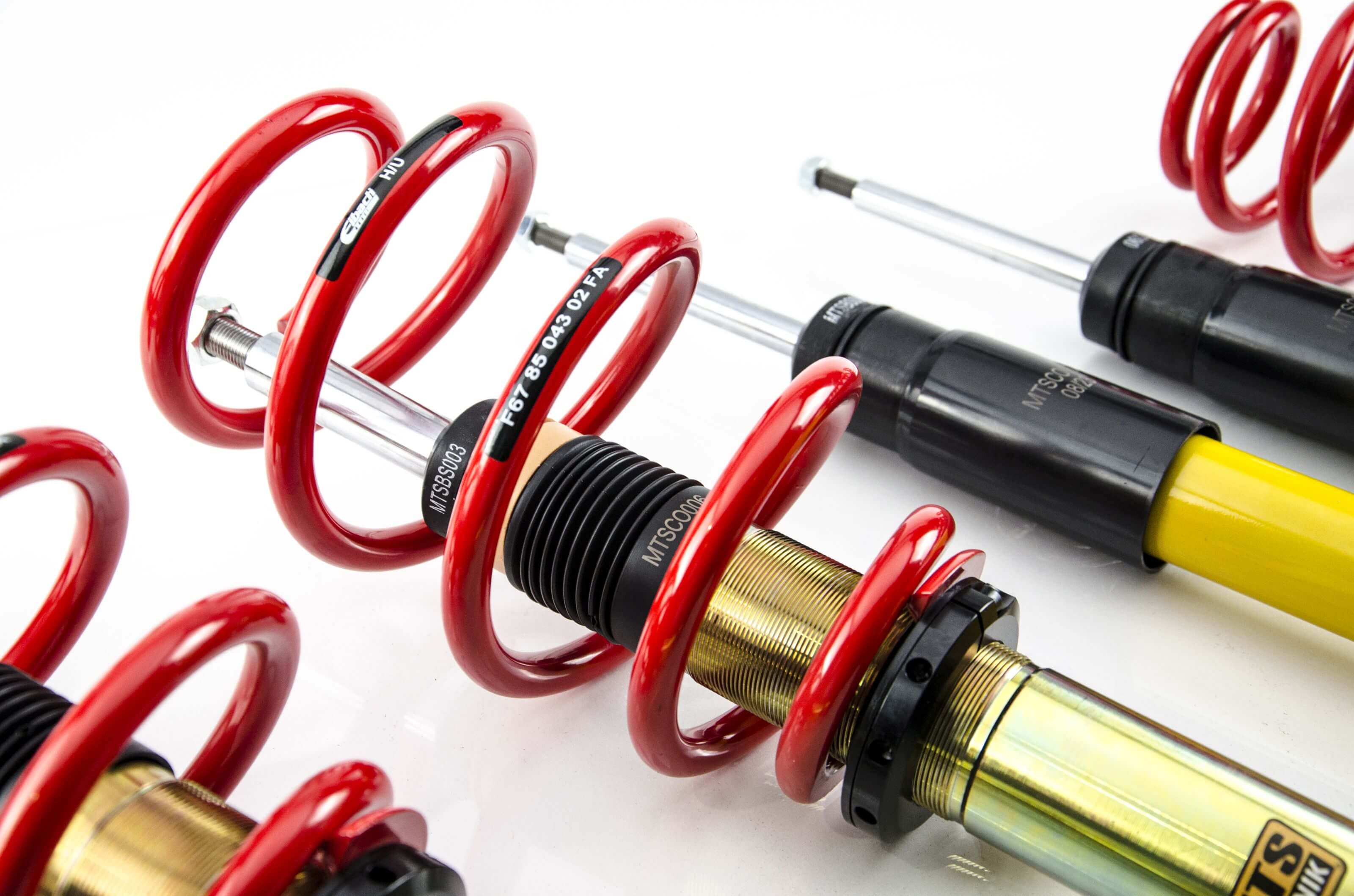 MTSGWVW18_1 MTS Technik / Eibach coilovers Street