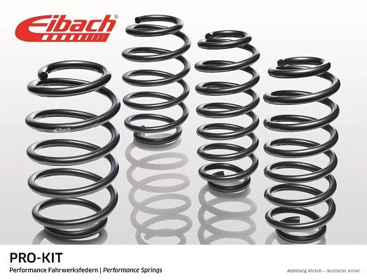 Eibach Pro-Kit Springs about 30/25mm